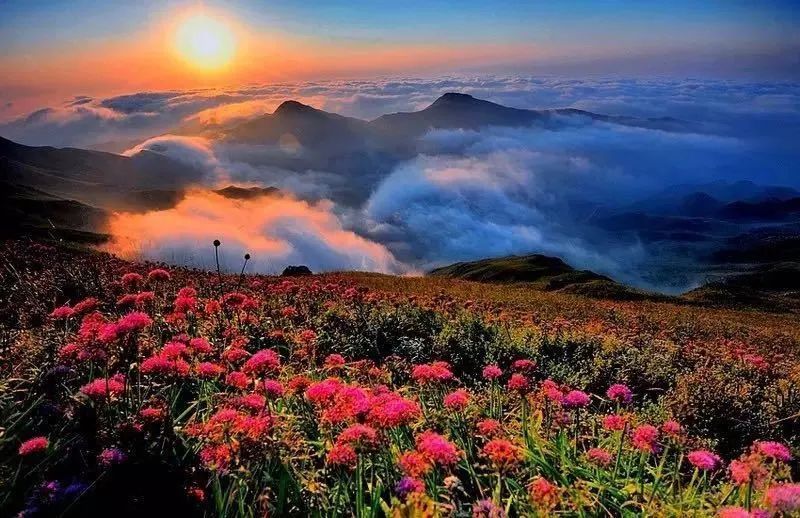 11月17日最新组讯，踏遍自然美景，寻找心灵宁静之旅