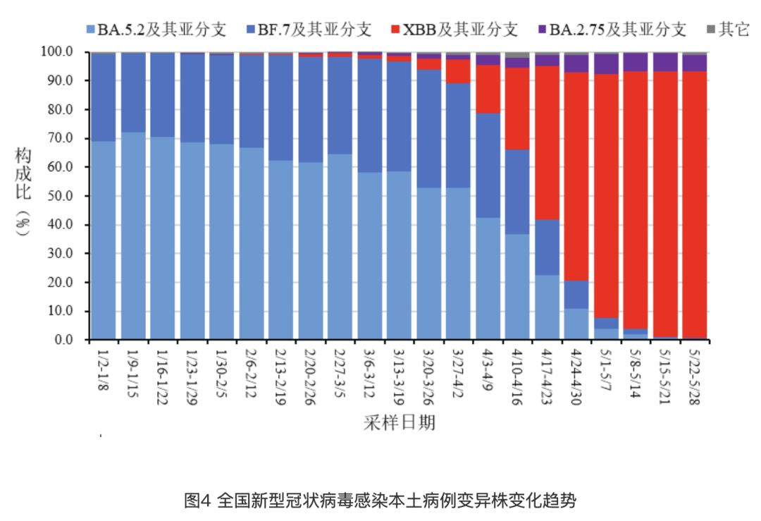 贵州新冠疫情实时数据更新概览，今年最新动态分析