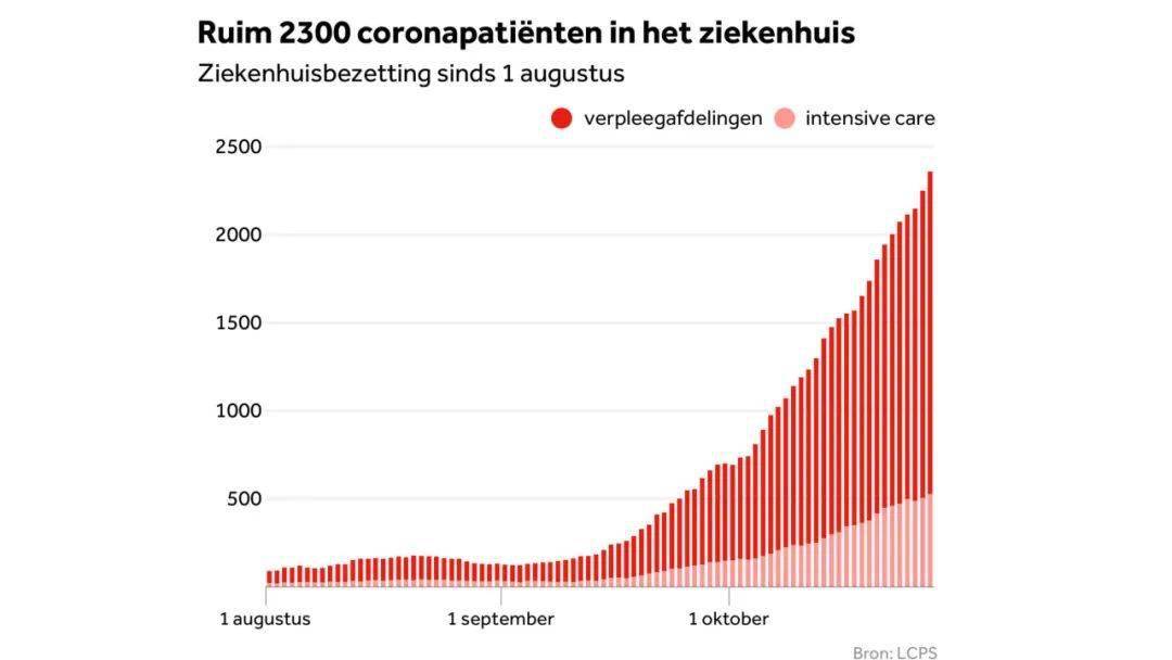 衢州日常，数字背后的温情与陪伴——实时感染人数及深度观察（2024年11月10日）