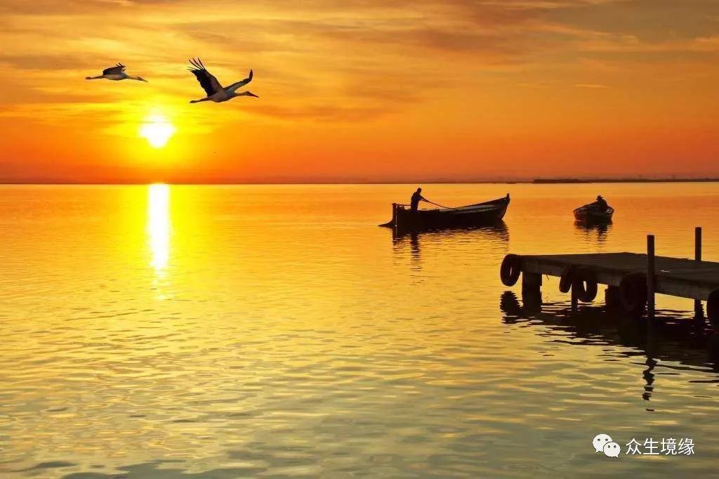 晨光熹微中的自然探索之旅，2024年11月10日今晨美景