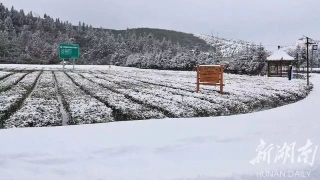 德国雪覆之下的冬日探秘，寻找内心平静的雪日之旅