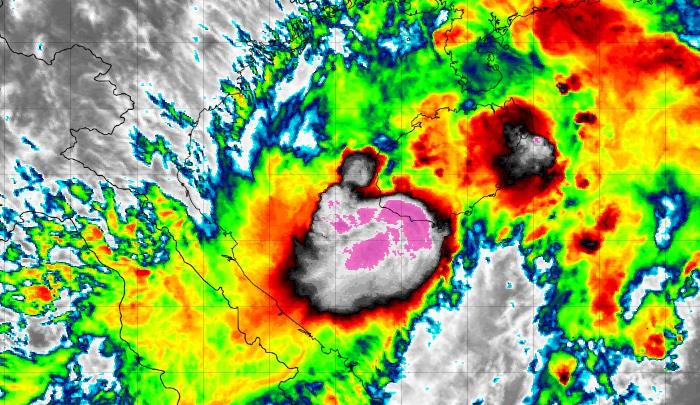 犯而不校 第4页