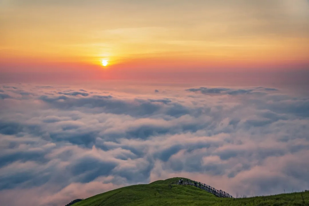 榕大公路，云端之上的实时云海观赏奇点