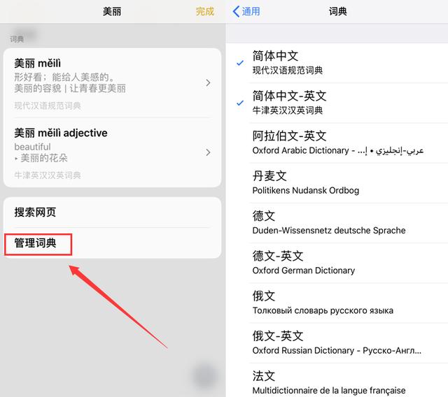 苹果设备实现视频实时翻译，突破语言障碍的新技术进展