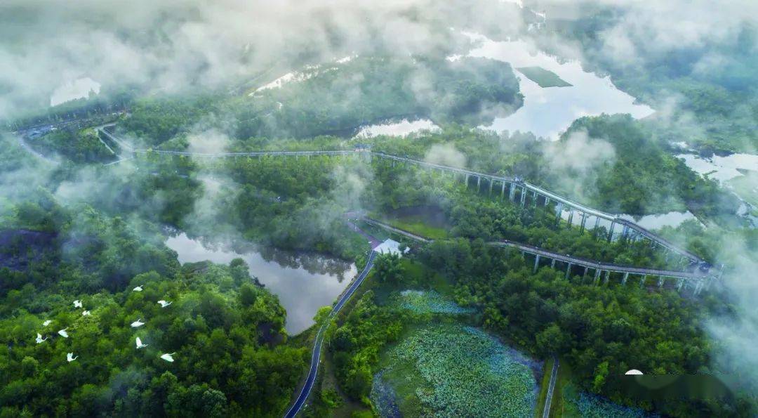 龙岩武平水库水位实时水情深度解析与最新动态关注