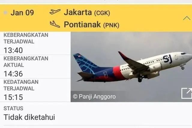实时航班跟踪与机场直播，无缝旅行体验的新篇章
