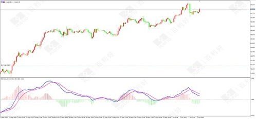 石油连续期货实时行情深度解析与最新动态关注