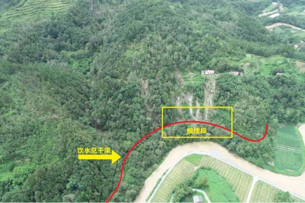 菜园坝水位实时监控系统，智能守护城市水利安全