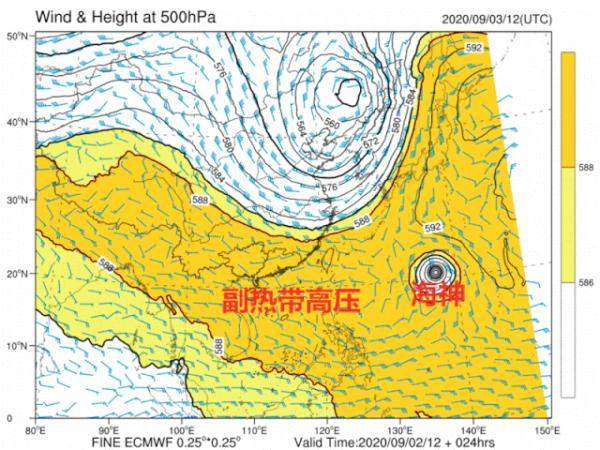 实时台风走向监测与预测，保障安全的关键所在