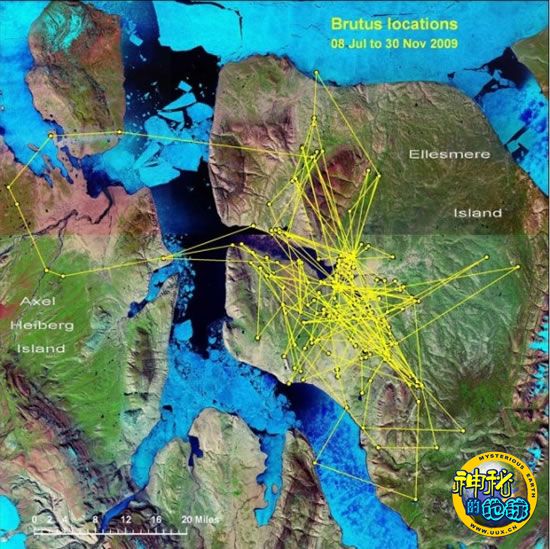 实时卫星定位追踪，查看、合法使用及注意事项指南