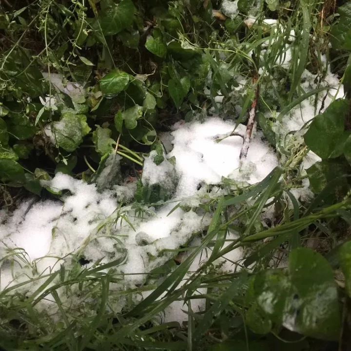 实时下雪天气预报图，掌握天气动态，规划冬季活动必备参考