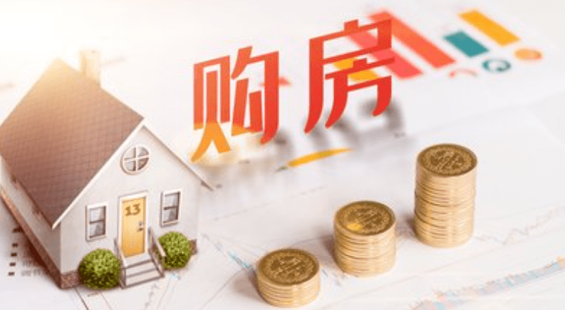 2024年12月20日 第13页