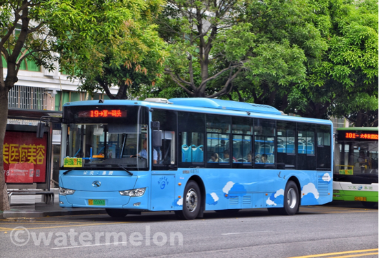 泰州公交19路实时运营解析与线路全攻略