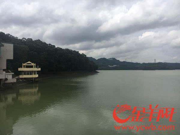 广东潭岭水库实时排名，水资源保护的杰出典范之典范。