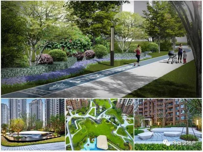 K494实时动态深度解析，探索前沿科技与未来趋势展望