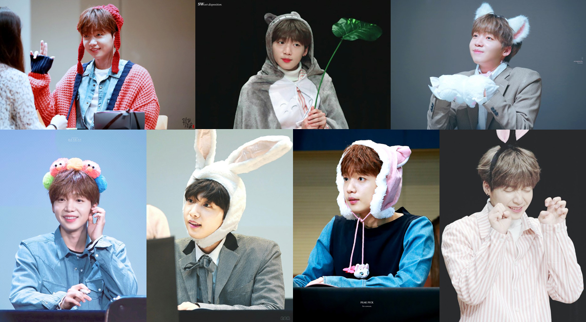 实时爱韩剧第四季，在线观看体验与深度解析