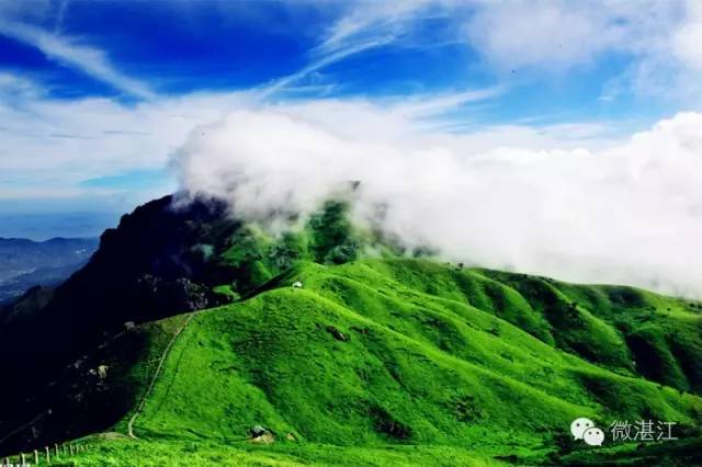 物稀为贵 第4页