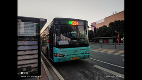 怀念经典公交APP，探索实时公交老版本下载的意义与价值