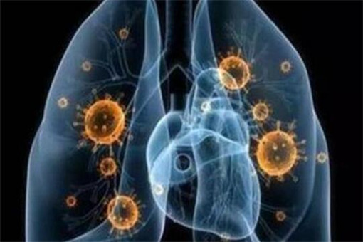 全球冠状感染性肺炎实时状况深度解析与最新动态