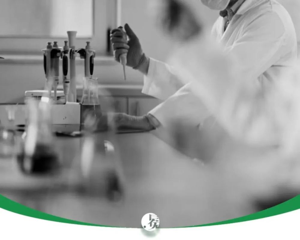 香港实时核酸检测背后的深度观察与应对，排队现象分析及其策略探讨