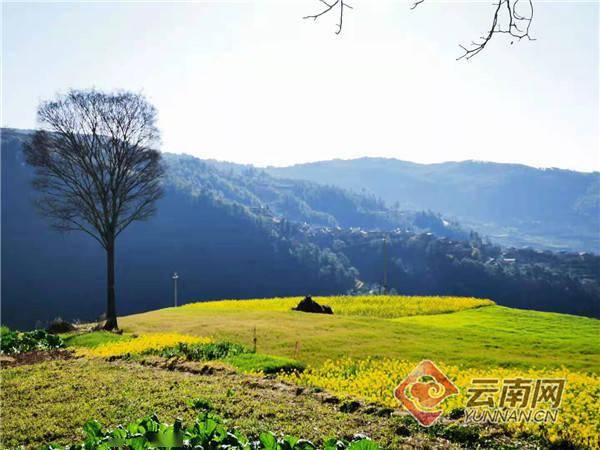 理县理小路实时天气直播，掌握气象变化，保障出行安全