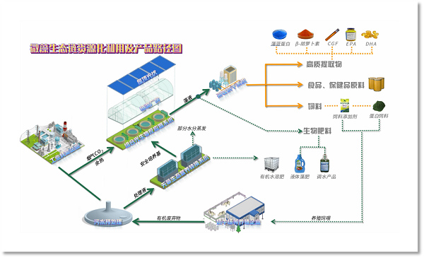 实时电解水除菌方案，引领健康科技新潮流先锋