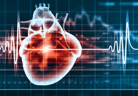 实时心率变异分析，挖掘其在健康监测与运动表现优化中的潜力与价值