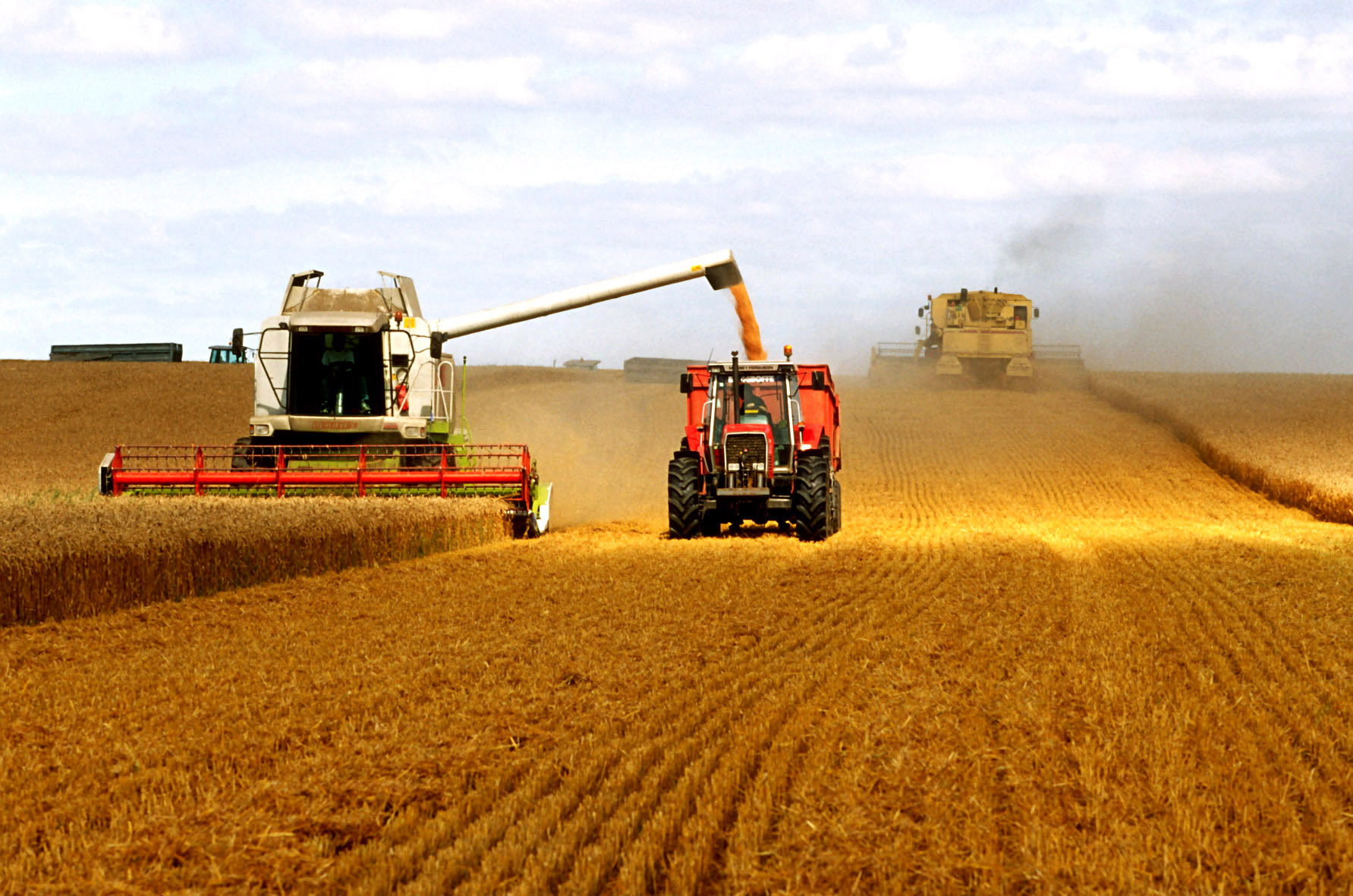 煤矿高产高效矿井：煤矿高产高效方面的文章 