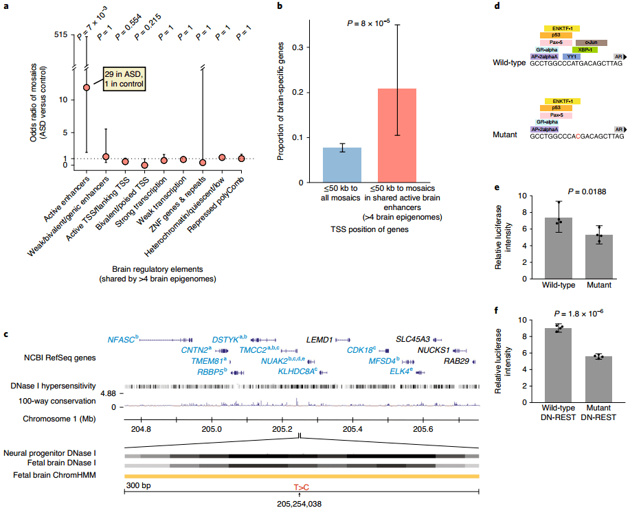 疫情深度剖析，揭示影响与挑战的经典范文解析