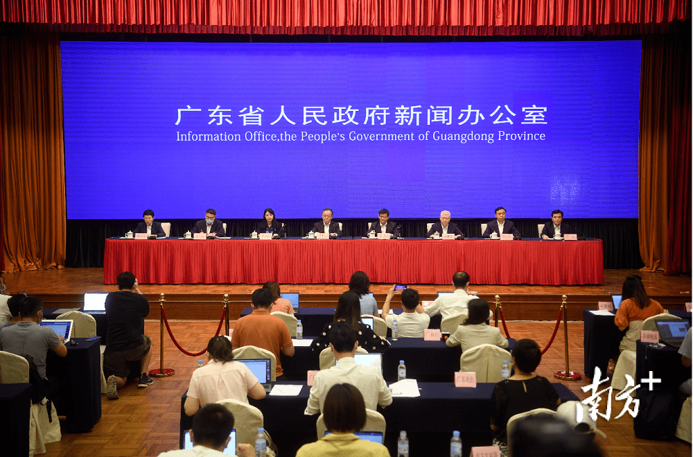 高考复习专题辅导的关键性与实施策略