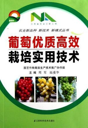 葡萄高效种植与管理策略秘籍