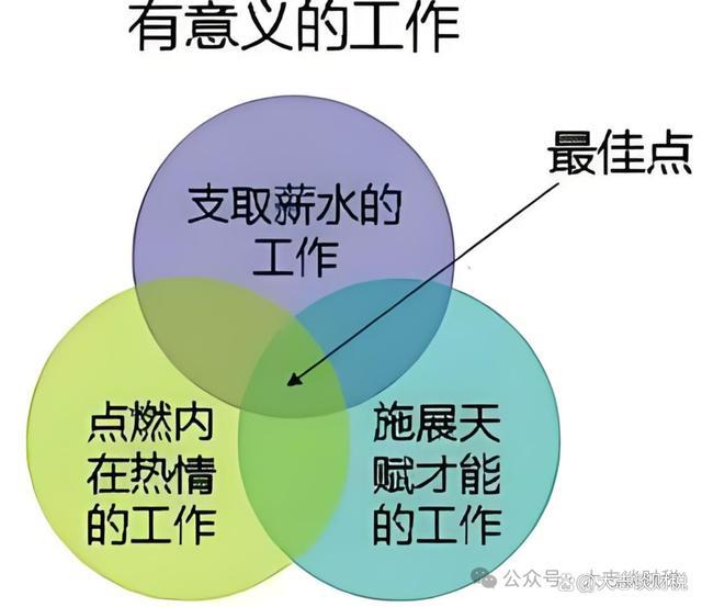 构建高效执行力基石，实现工作落实目标
