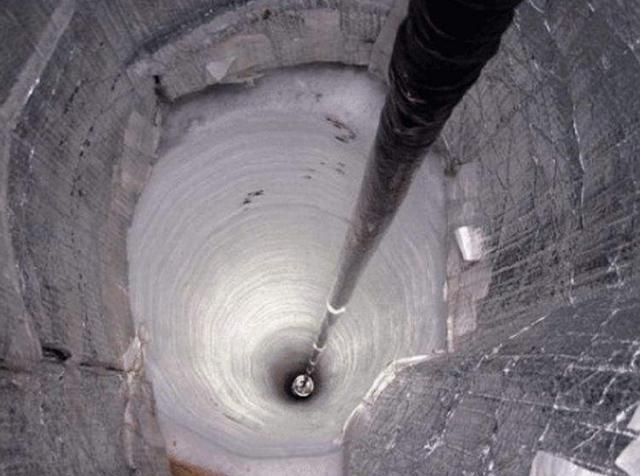 牛流血不止真相揭秘，应对治疗与护理之道