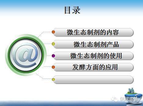 鸟吏鳖官 第4页