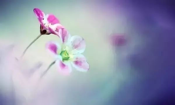 剪不断的深情惦念