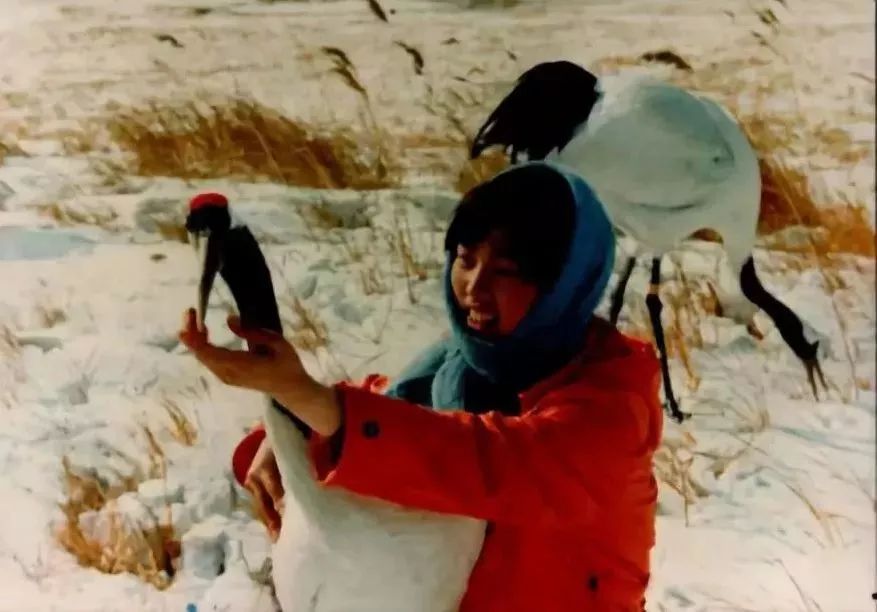 突发疾病引发悲剧性故事，令人扼腕叹息的悲剧上演