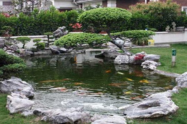 独家小院与鱼塘的方位布局艺术，打造最佳风水环境