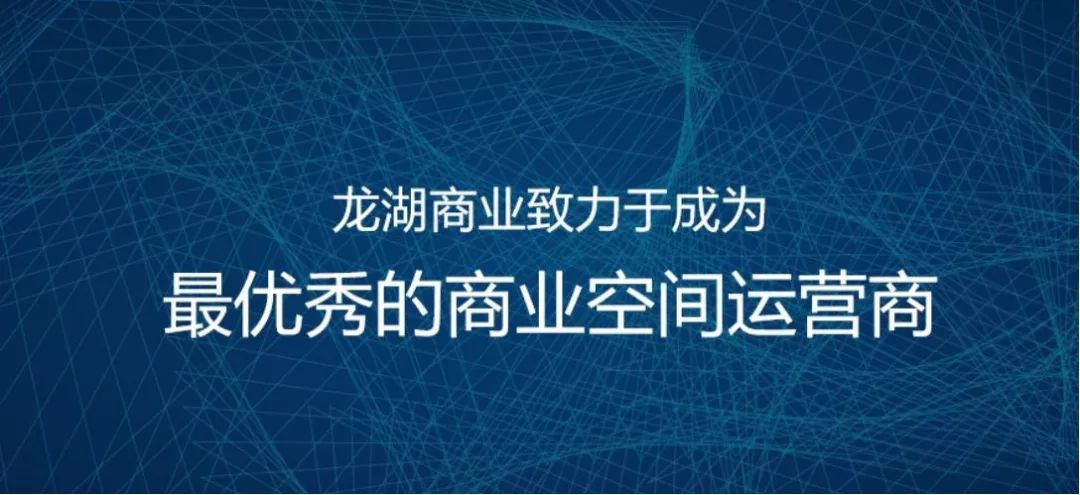 独家经销的商业价值与实践策略,深度探讨Distributorship的盈利之道