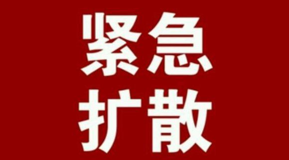 2025年1月7日 第14页