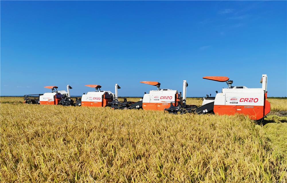 突发全球粮食再响警报：全球粮食慌 