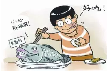 守护健康，从驱虫开始——预防寄生虫，守护生命质量