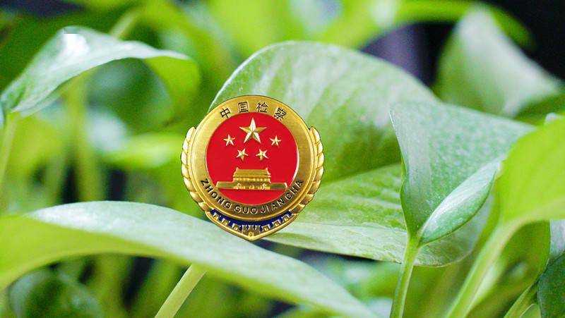 执法办案专题培训试题大揭秘，提升法律实操能力，助力法治建设！