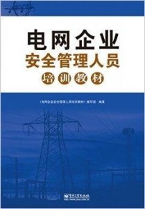 电网企业抓落实：电网安全整治 