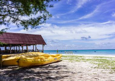 哈尔滨沙巴旅游指南，必玩景点与美食一网打尽