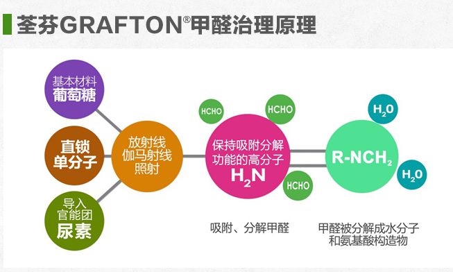 绍兴专业除甲醛厂家联系方式，守护您的健康呼吸环境
