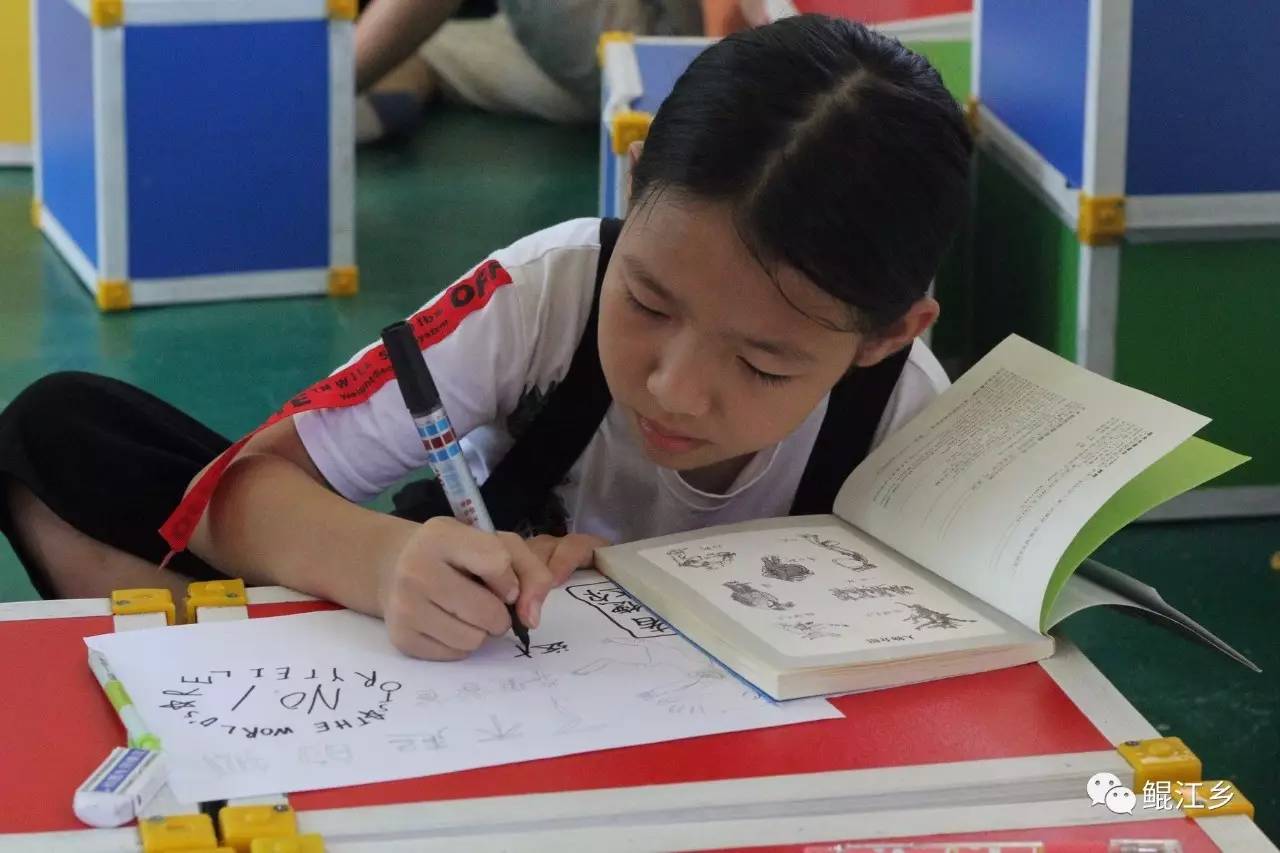 高效暑假记：暑假全记录 