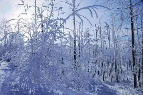 雨水与人文的和谐交响，自然之歌，文化之韵