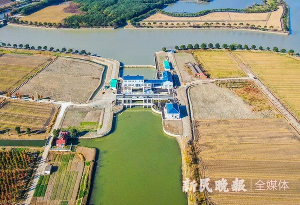 空谷幽兰 第5页