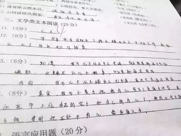 工作措施落地执行方案，细节决定成败