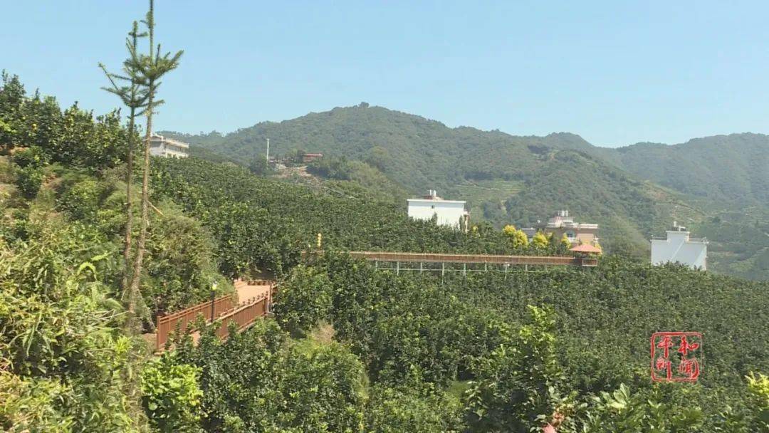 平利宣传语：平和宣传语 